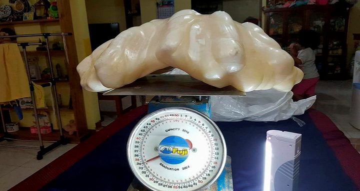 A man in the Philippines discovered what might be the largest pearl in the world.