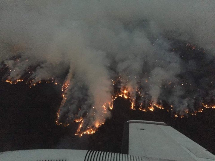 The head of the Cedar Fire as seen from the air attack plane.