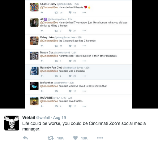 Kenny ➆ on X: We did it Reddit!! Press F to pay respects to the Cincinnati  Zoo's Twitter always remember #harambe  / X