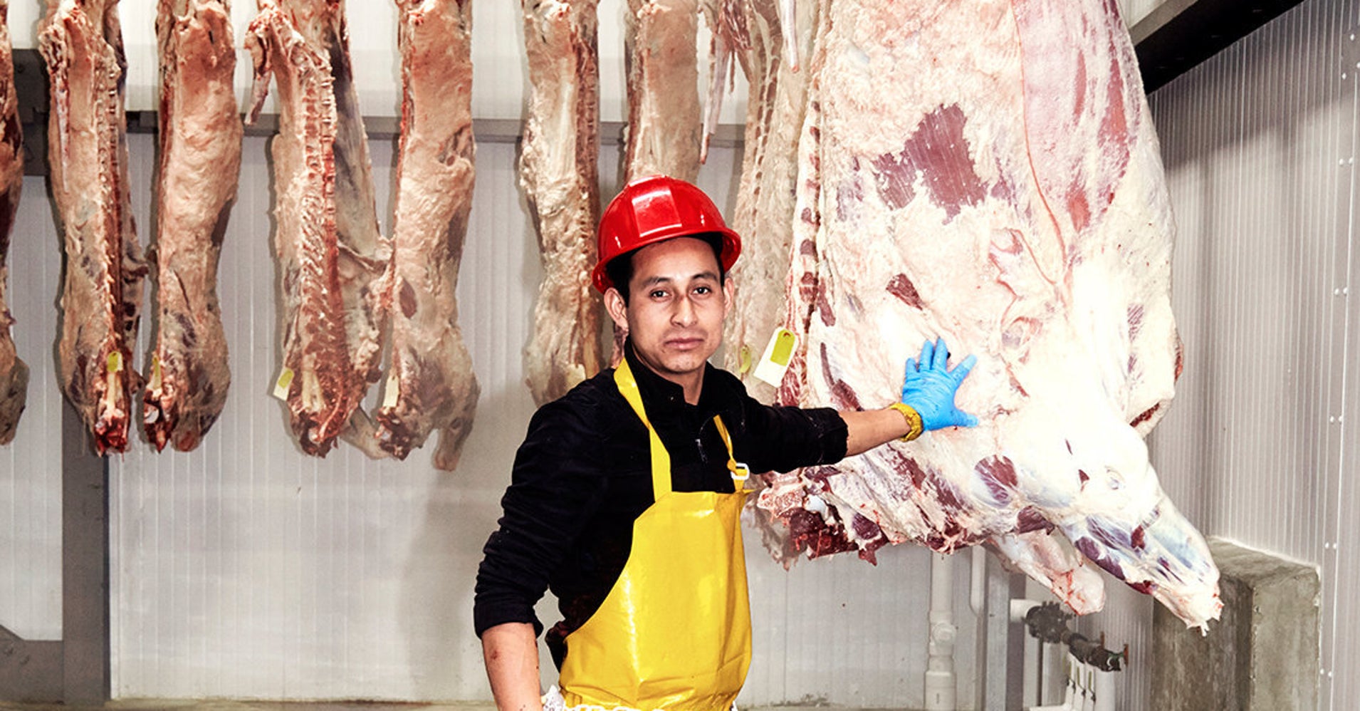 This Slaughterhouse Will Let You Watch What Actually Happens Inside ...
