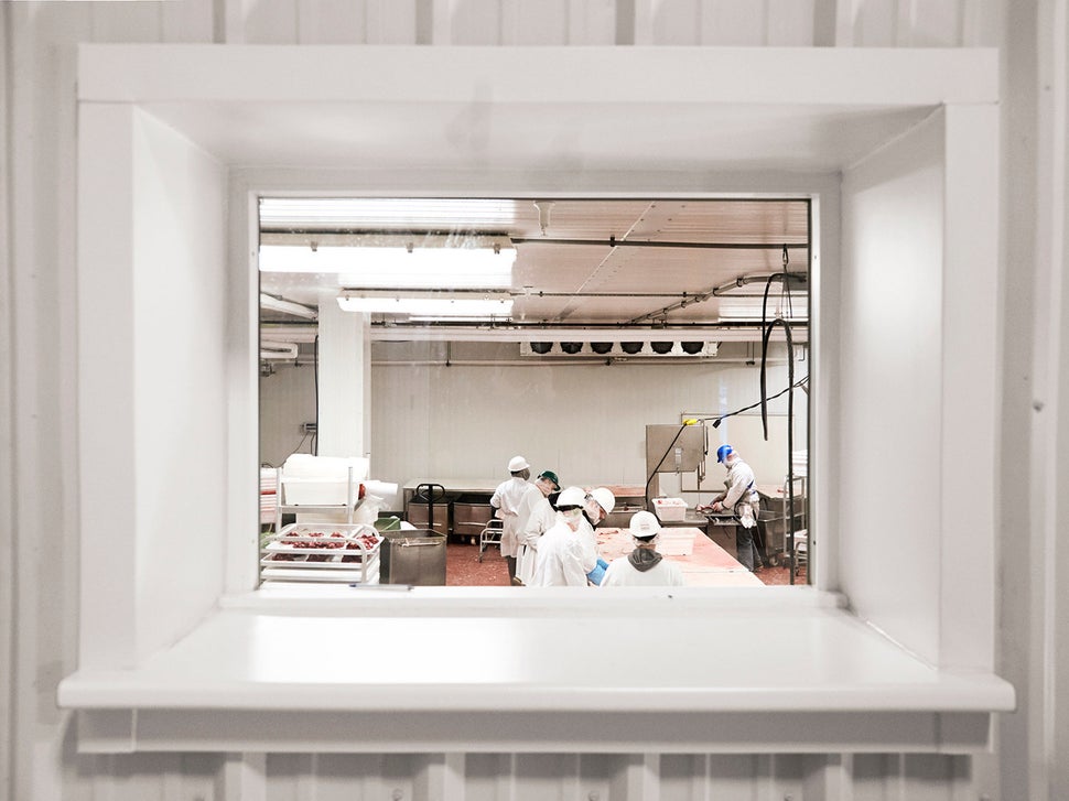 This Slaughterhouse Will Let You Watch What Actually Happens Inside