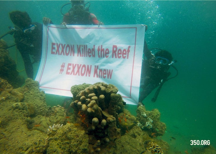 Dead coral reef surrounding the Andaman Islands, Indian Ocean