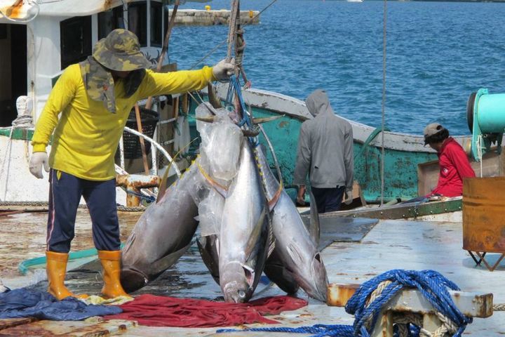 A Thorough Examination Of Australia's Fishing Industry