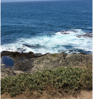 Mendocino is the quintessential vacation down ... Watch your footing!