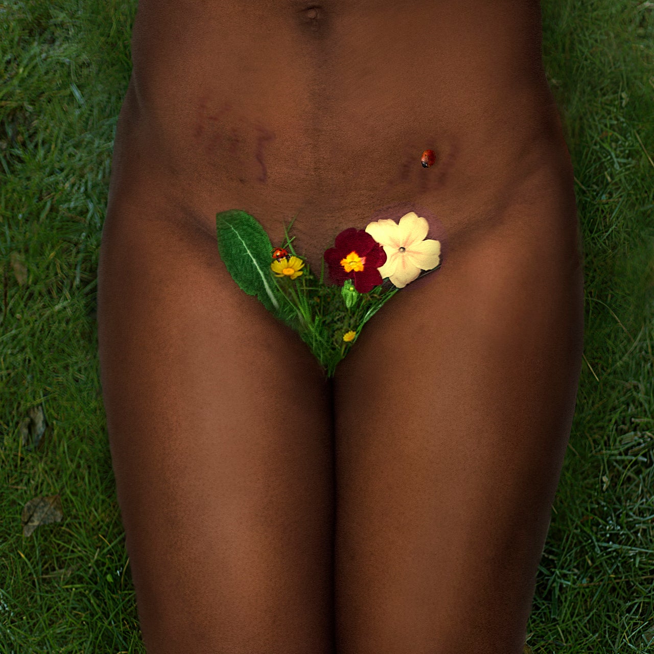 Blooming Garden