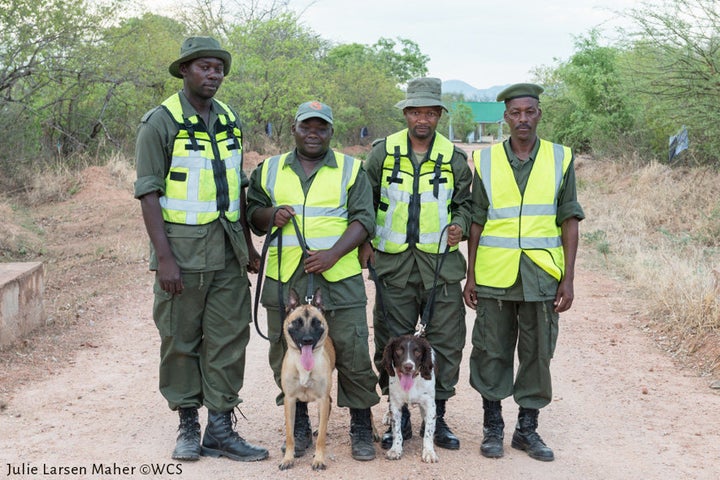 Jenny, left, and Dexter pose for a photo with Tanzanian authorities. The canine unit is the country's latest tool in the fight to end poaching and the trade of illegal wildlife products.