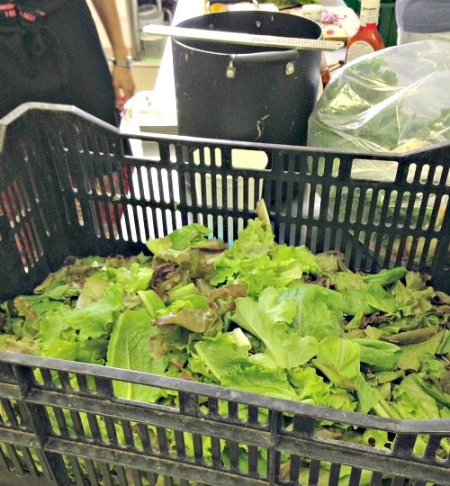 Lettuce at Centenary United Methodist Church, Lambertville, NJ