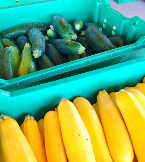 Summer squash donated by Sandbrook Meadow Farm, Sergeantsville, NJ