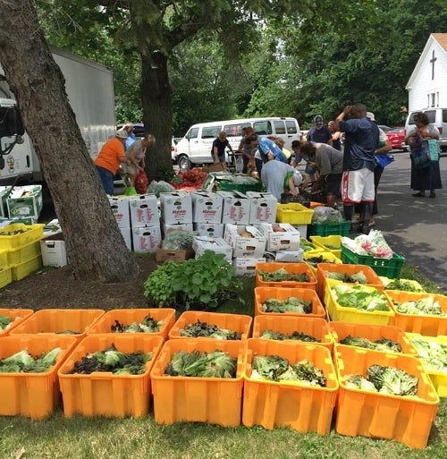 Mass distribution of produce to hunger relief sites in Bucks County, PA