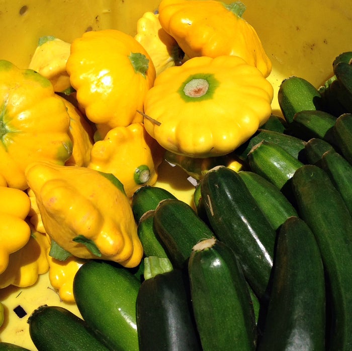 Patty pan squash and zucchini from Gravity Hill Farm, Titusville, NJ