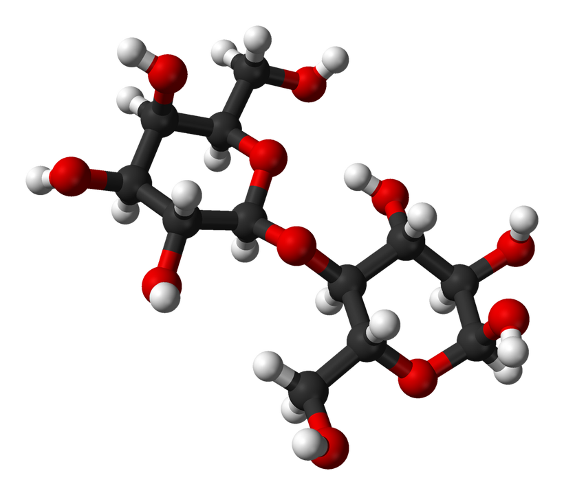 There are over 100,000 different molecules synthesized by our cells
