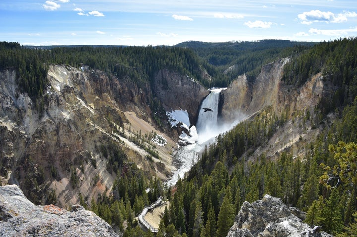 A view of the Lower Falls at the Grand Canyon of Yellowstone National Park in May 2016.