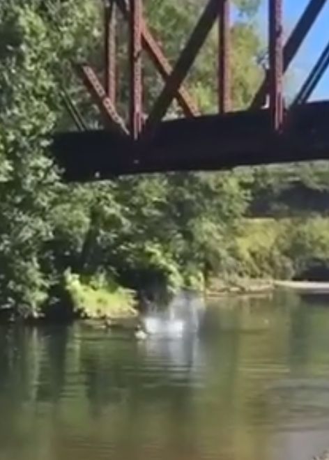 A four-year-old boy was thrown off an 8m high bridge into a river in Washington