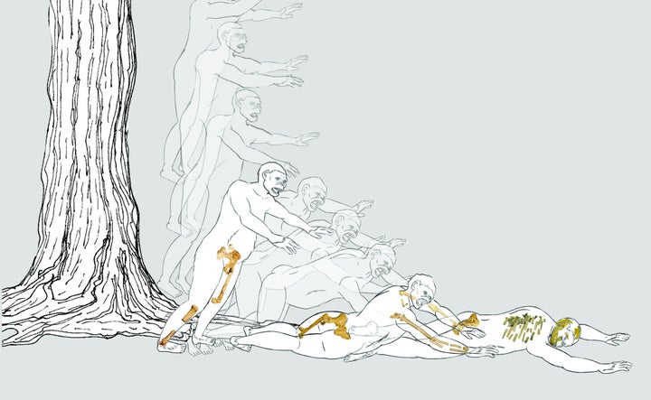 A hypothetical scenario for Lucy's fall from a tree and the subsequent vertical deceleration. Researchers hypothesize that sh