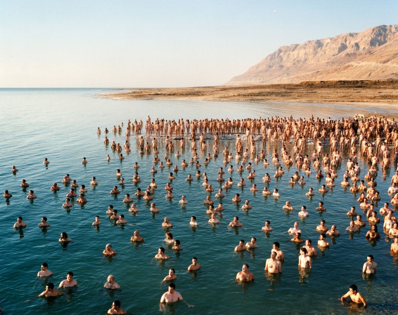 Dead Sea, 2011