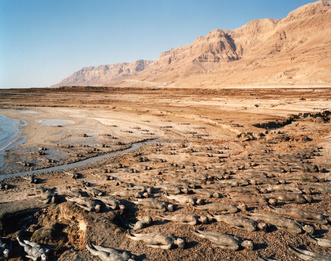 Dead Sea, 2011