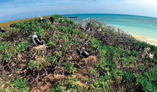 Papahanaumokuakea