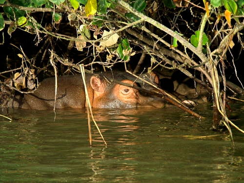 iSimangaliso 