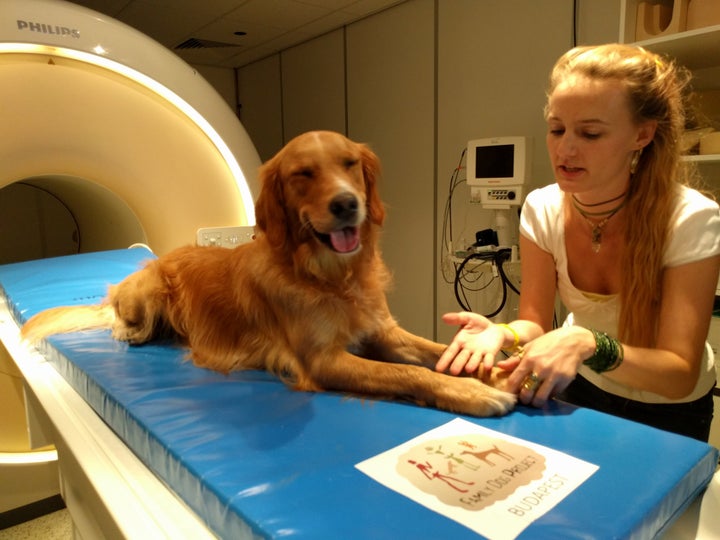 Researcher Anna Gabor and Barack the dog.