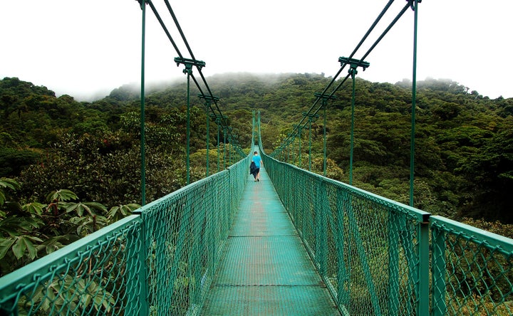 Stroll above the treetops on Monteverde’s Skywalk network of network of suspension bridges.