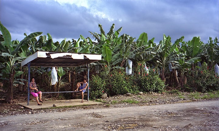 Waiting for the bus at a banana plantation bus stop in Costa Rica.