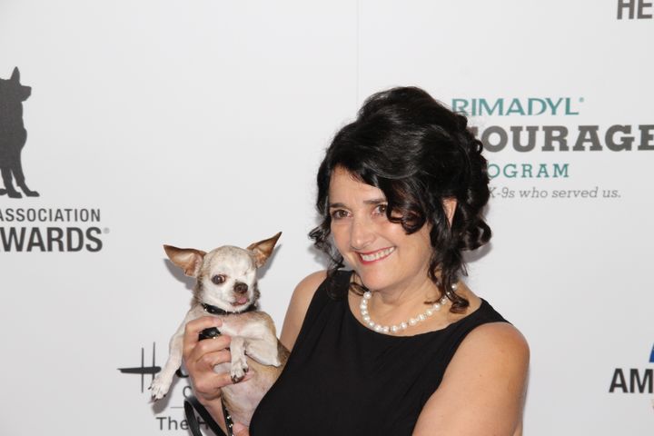 Harley with his "mom" Rudi Taylor during the 2015 American Humane Association Hero Dog Awards. 