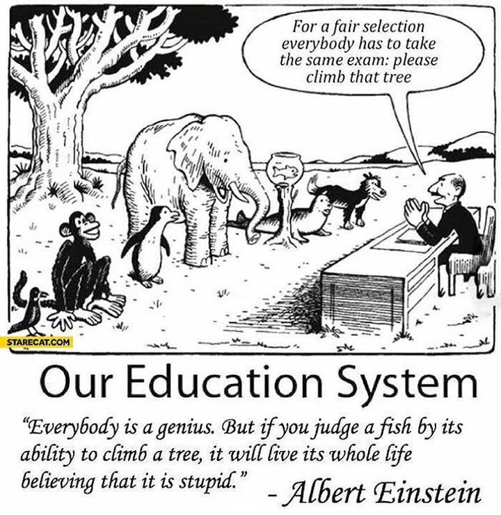 Everybody is a genius. But if you judge a fish by it's ability to climb a tree, it will live its whole life believing that it is stupid.