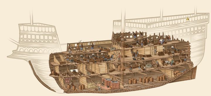 A ship plan of the Mary Rose 
