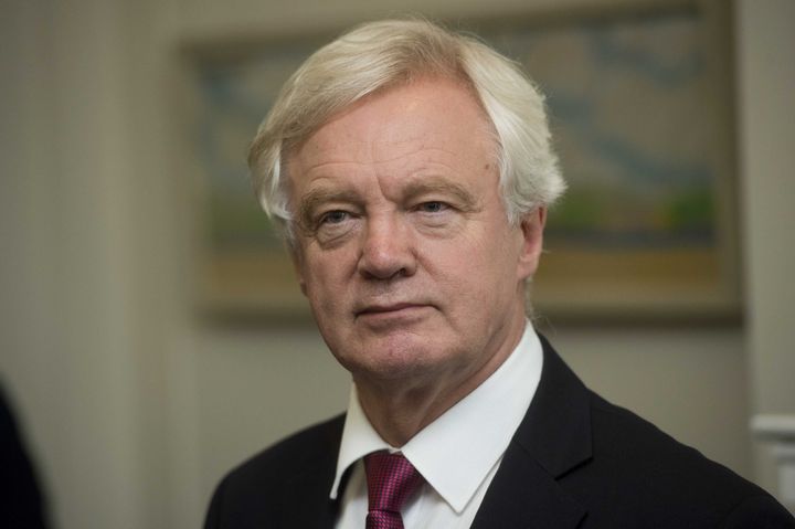 Davis is the government's lead Brexit minister
