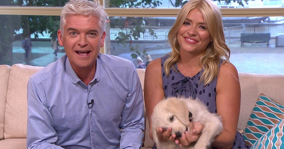 'This Morning' Has Got A New Guide Dog Puppy And It's The Most Adorable Thing Ever