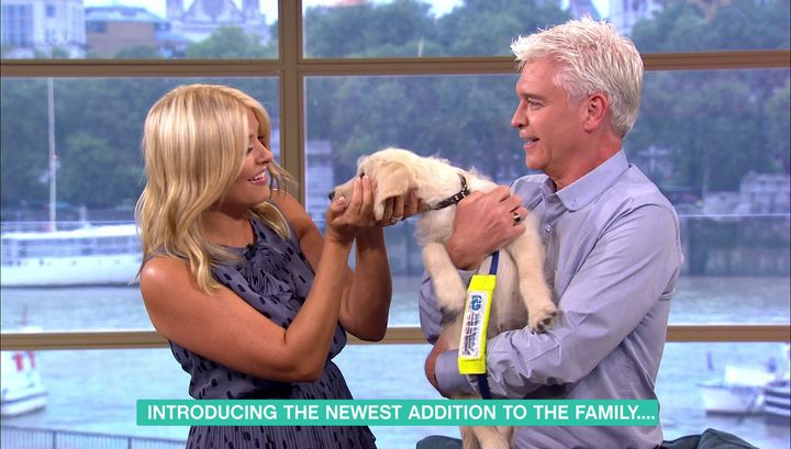 Holly Willoughby and Phillip Schofield introduced a new guide dog puppy on ‘This Morning’