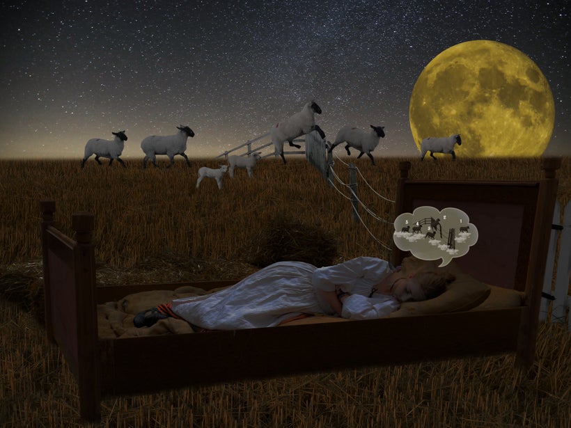 Counting sheep didn't help...