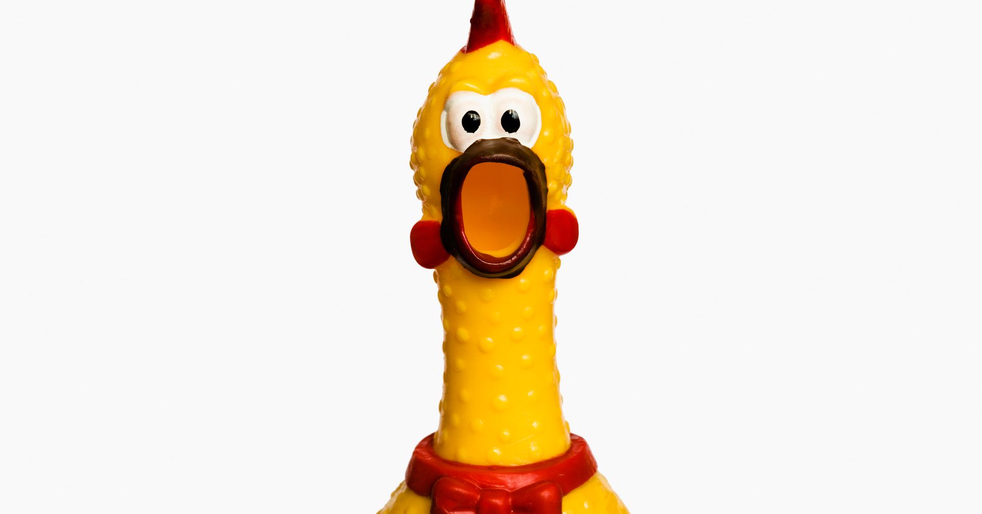 Rubber Chickens Bounce To The Beak In EDM-Style Banger | HuffPost