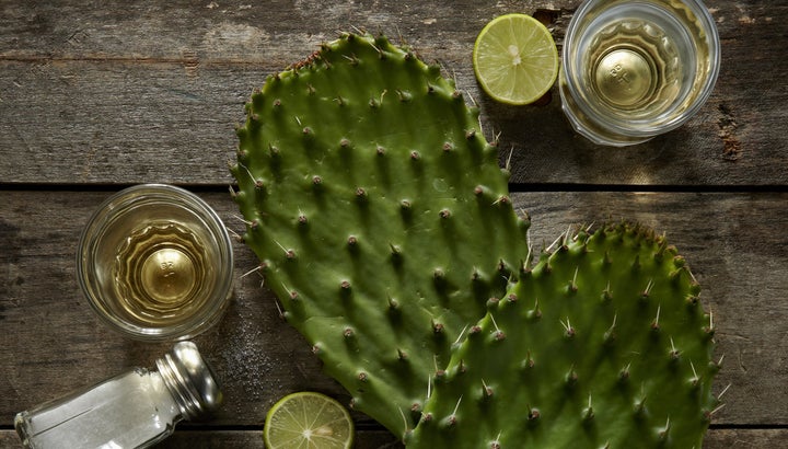 Sample Mexico’s tequila neat or indulge in a classic margarita cocktail.