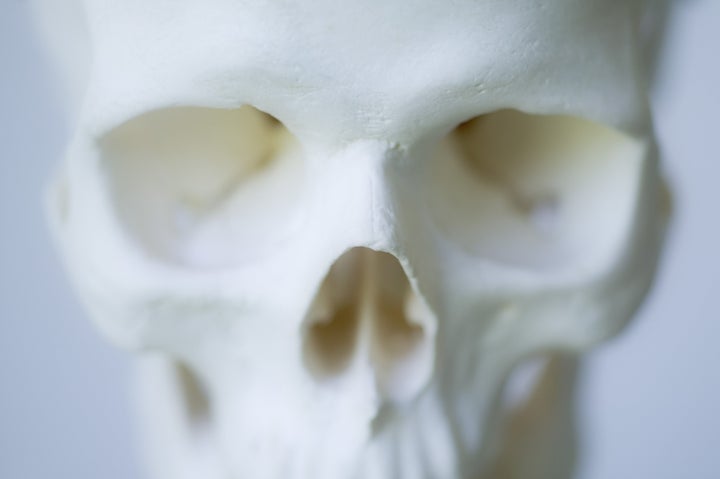<strong>The fully intact skeleton was discovered on Sunday evening (file picture)</strong>