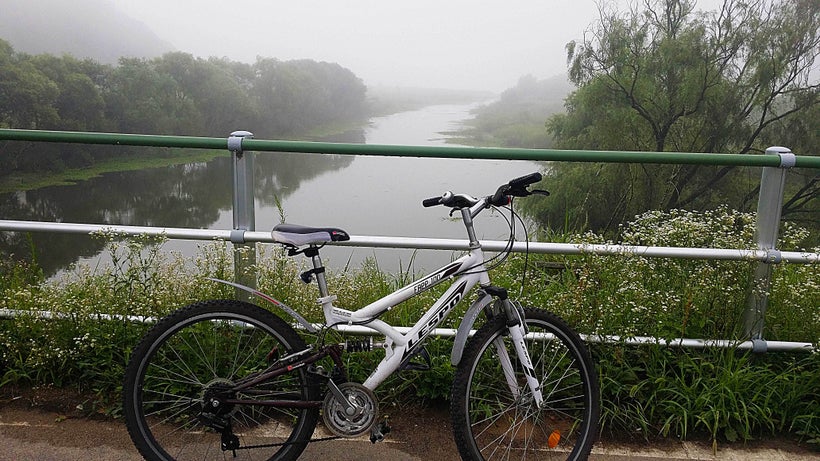 Majestic misty mornings.