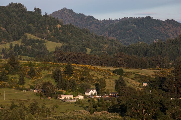 The town of Petrolia, Calif., sits beneath the King Range mountains at the edge of Humboldt County. With a population of about 400, it has one general store, one bar, no cellphone service and no police.