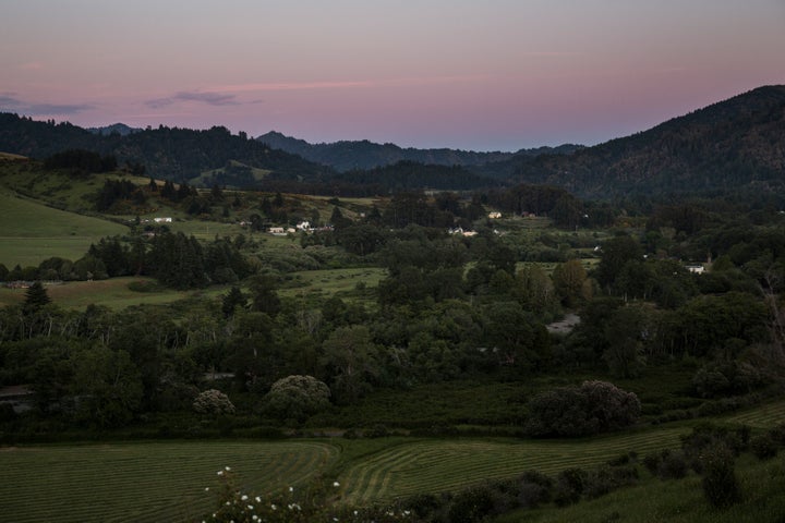 Nearly everyone in the tiny town of Petrolia, Calif., knows each other. Most are involved in marijuana growing to some degree. It’s where Terri, a 22-year-old environmentalist and musician, arrived in the middle of the 2014 harvest season looking for trimming work.