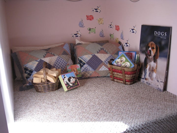 The room located in the dog's nose. 