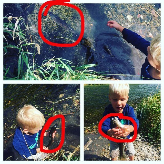 My 4 year-old nephew Riley caught a fish with his bare hands because no one told him he couldn't. 