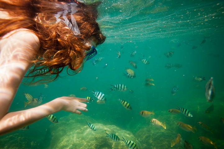 Meeting underwater creatures in the waters around Ko Lao Liang is an essential Thailand experience.