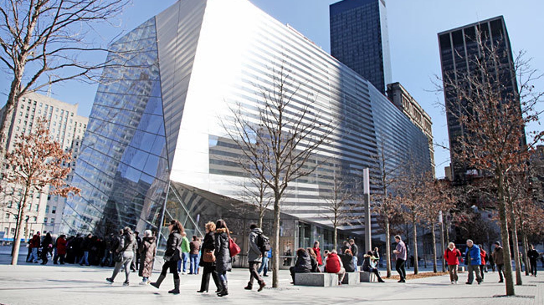 9/11 Memorial & Museum on X: The Survivor Tree is a symbol of hope,  healing and resilience. Each year, seedlings from the Survivor Tree are  given to communities affected by violence and