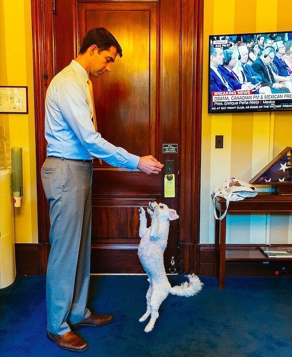 Cowboy with Sen. Tom Cotton (R-Ark.)