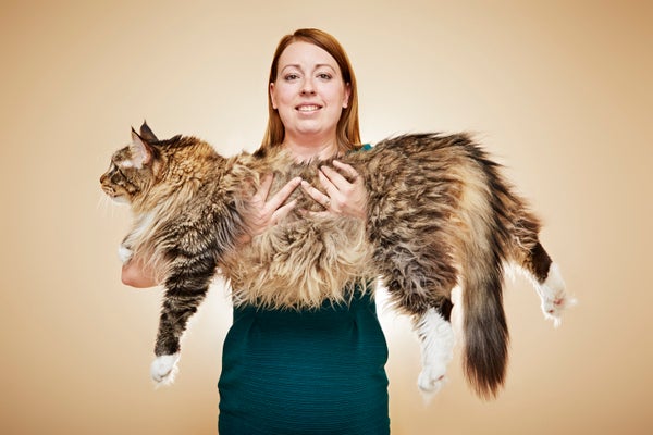 big mouths big beards and big dogs featured in new guinness world - Biggest Cat In The World Guinness 2016 big mouths big beards and big dogs featured in new guinness world - Biggest Cat In The World Guinness 2016