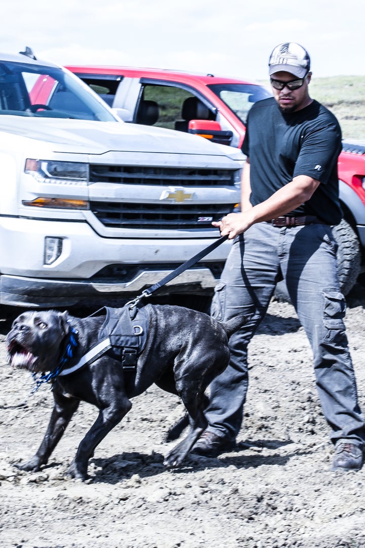<i>One of the private security guards holding a pit bull later set loose to attack protesters</i>