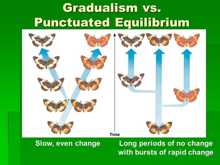 Often, evolution occurs in short bursts, generally just before evolution's semi-annual job performance reviews.
