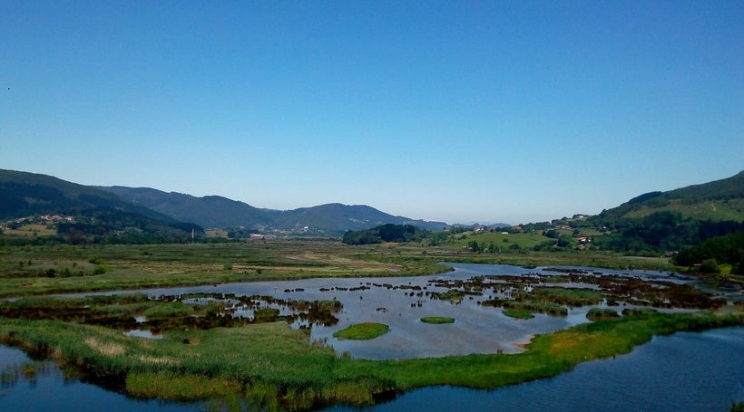 Urdaibai Bird Centre, Basque Country