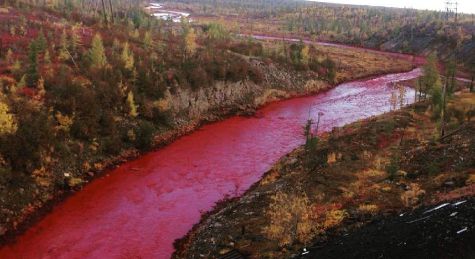 Russian River Flowing Through The Arctic Circle Turns Blood Red   57d1445d1800006c32bd005e 