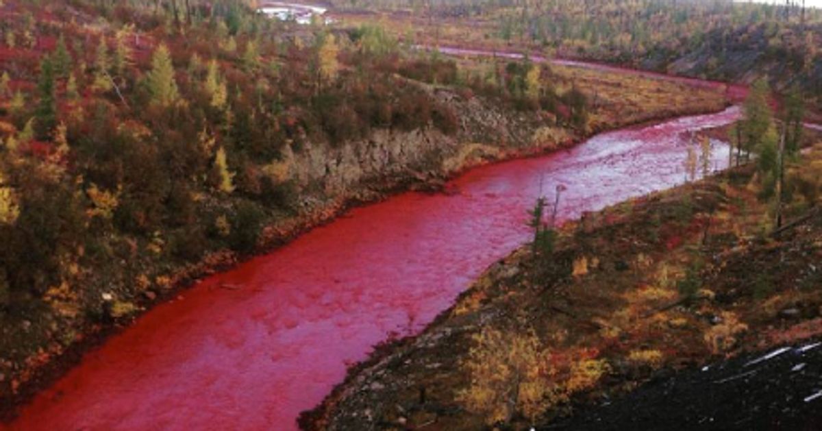 Russian River Flowing Through The Arctic Circle Turns Blood Red