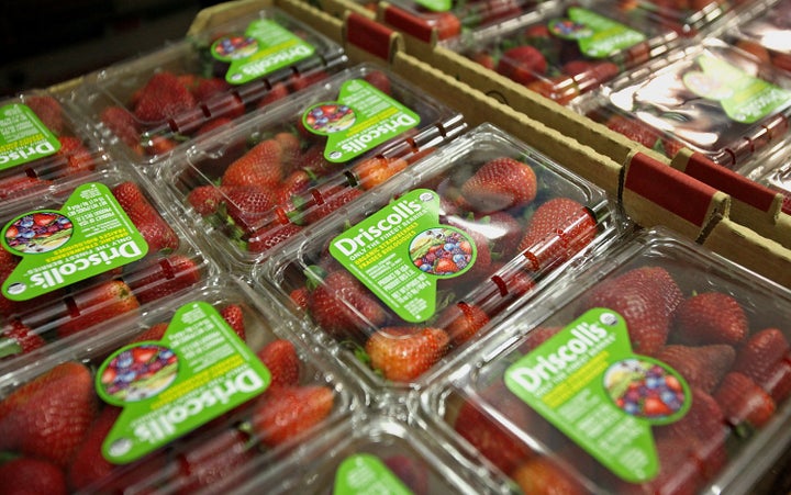 Driscoll's berries has been the subject of a worker-led boycott this year as the company's workers have protested poor pay and working conditions.